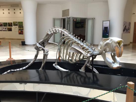 Ungarisches Naturwissenschaftliches Museum